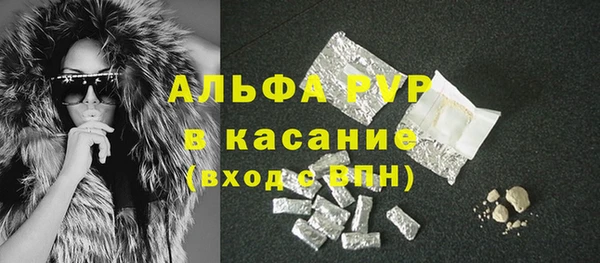 гидра Киренск