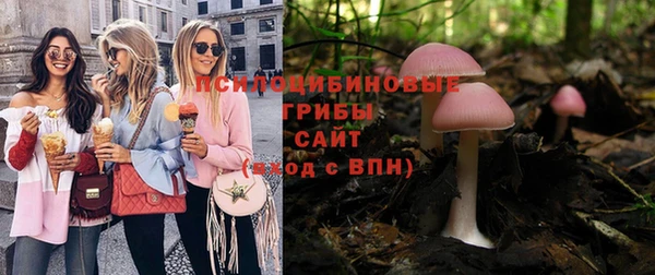 крисы Кинешма