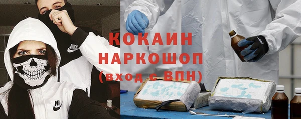 гидра Киренск