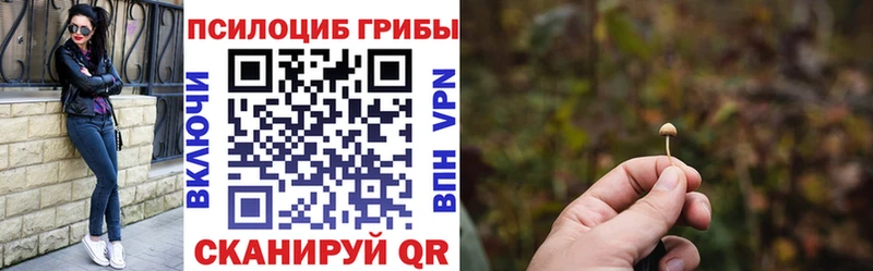 Купить закладки  Чухлома  Псилоцибиновые грибы Magic Shrooms 